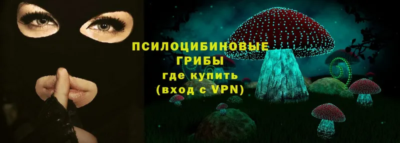 Псилоцибиновые грибы Psilocybe  Наволоки 